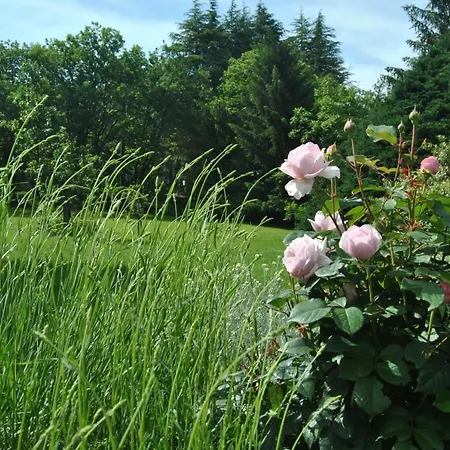 L' Assiolo Bed & Breakfast *