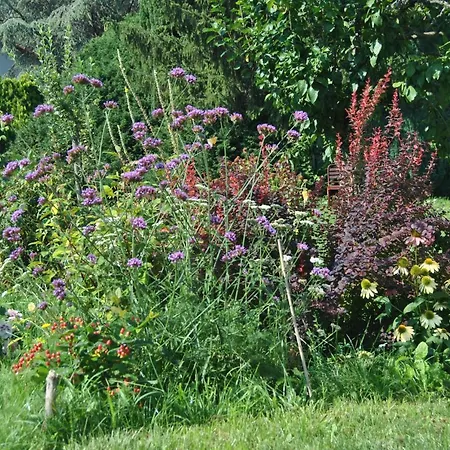 Bed & Breakfast L' Assiolo
