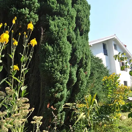 Bed & Breakfast L' Assiolo